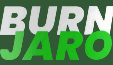Analyzing the Results of Burn Jaro Slimming Ingredients to Instantly Burn Belly Fat