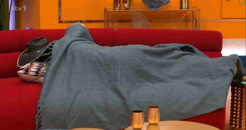 Mickey Rourke asleep under a blanket on a red couch.