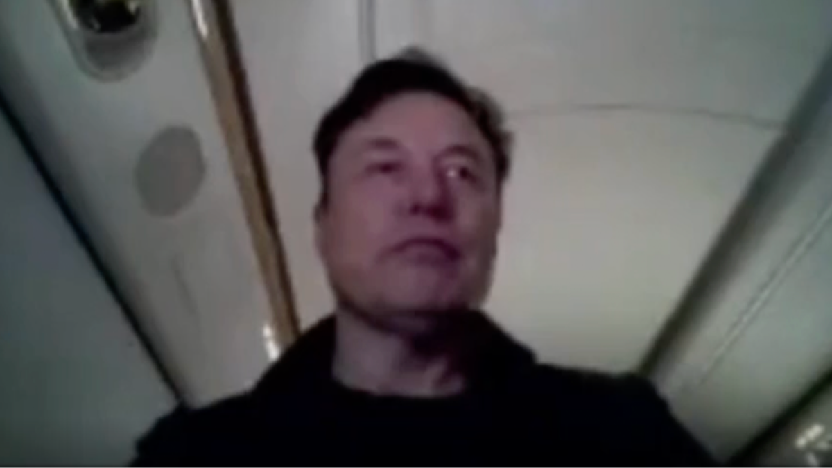 Jaw-dropping footage shows Elon Musk's reaction to being mercilessly trolled by commenters during gaming livestream