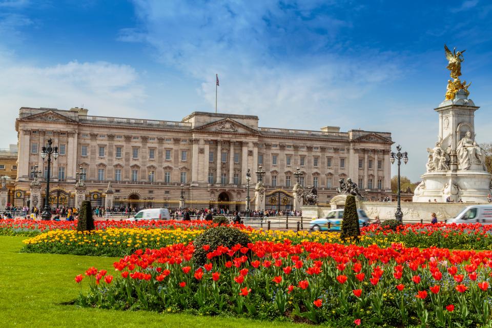 Buckingham Palace with tulips in the foreground.
