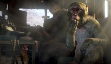 Ubisoft mistakenly censors Far Cry 4 on Steam, restores boobs and dong