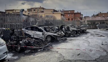 Tesla 'terror' spreads in Europe as dealership goes up in flames & vandals hit another in attacks on Trump pal Elon Musk