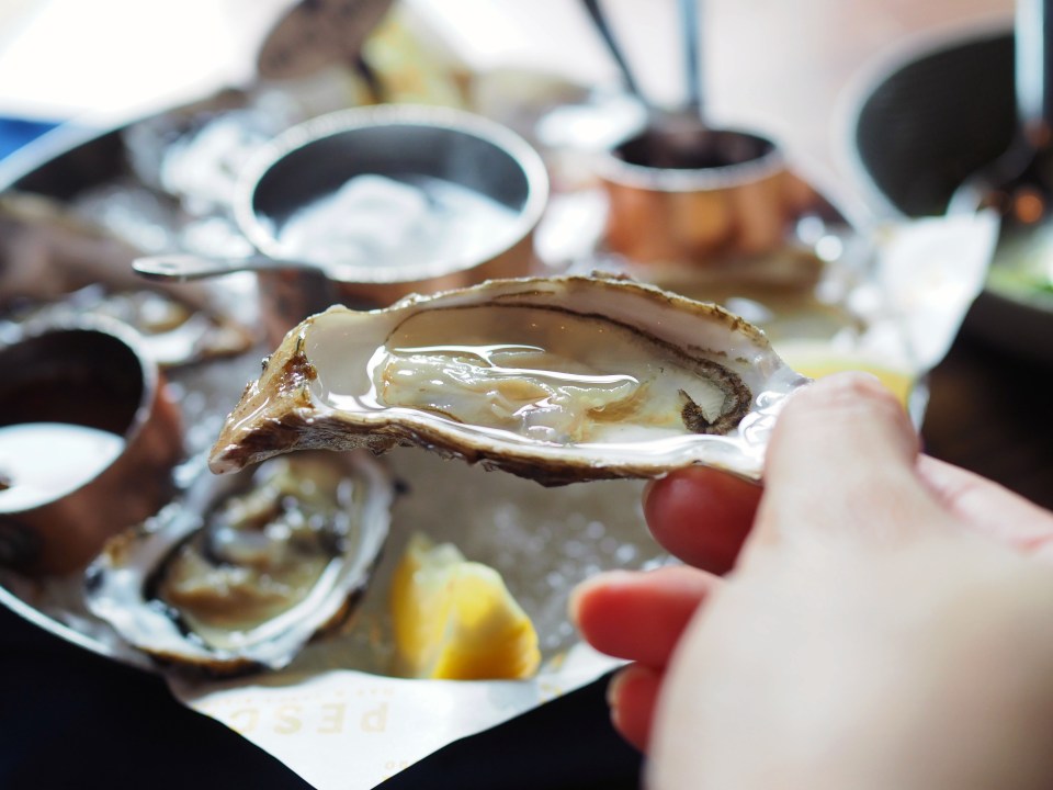 Hand holding a fresh oyster on the half shell.
