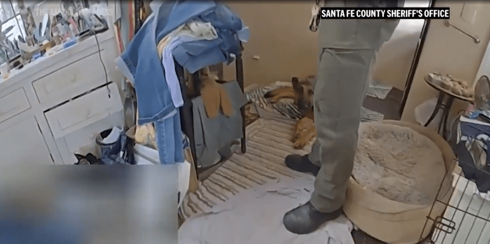 Police photo of a cluttered home with a dog.