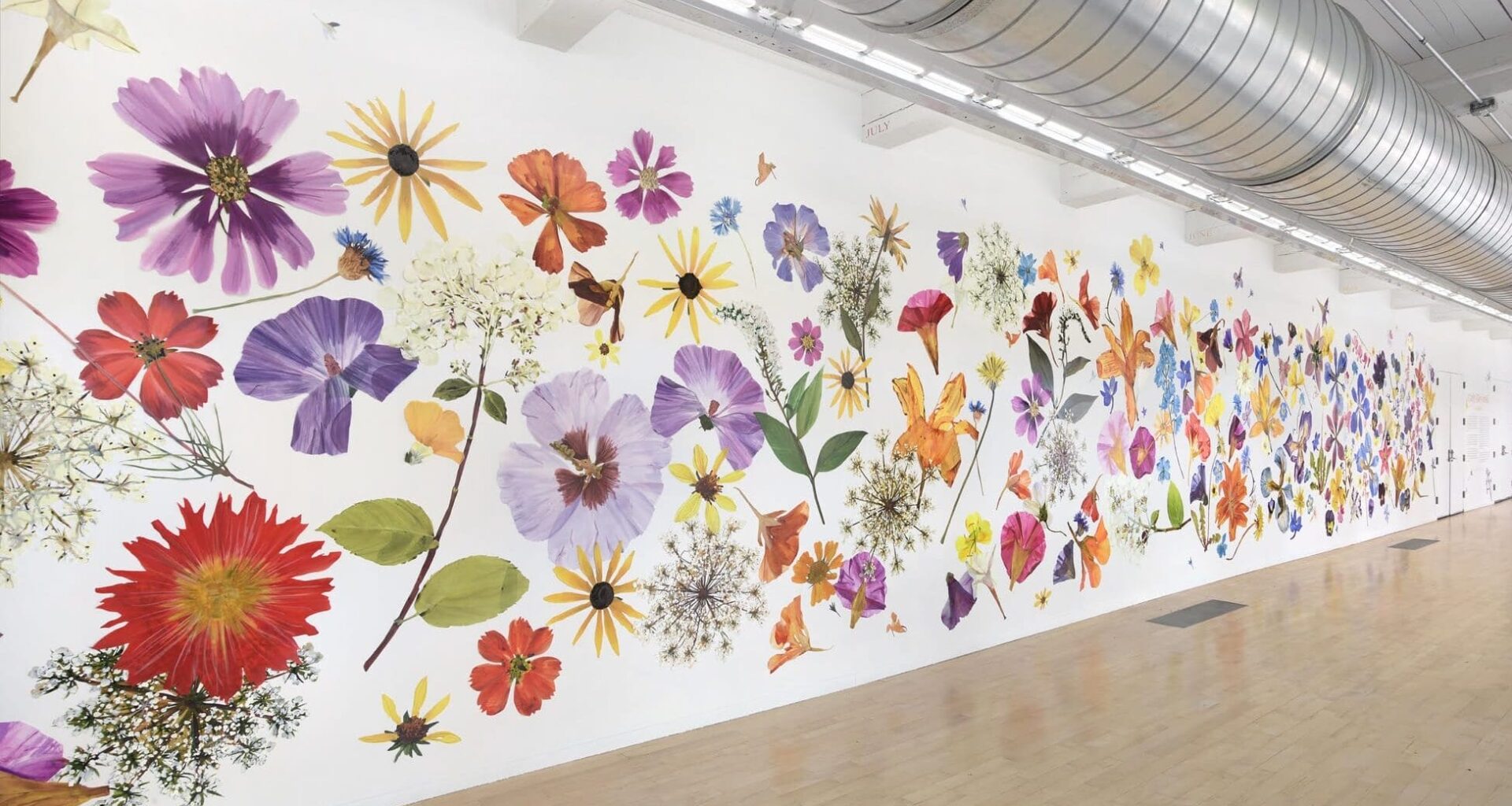 a large, full-wall installation of numerous flower painting cutouts that resemble giant pressed flowers all along a white wall