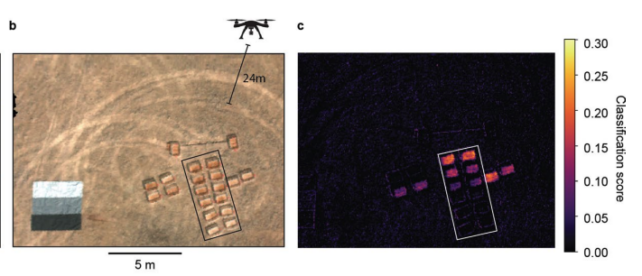 Future Fields Could Glow to Reveal Pollutants or Nutrients