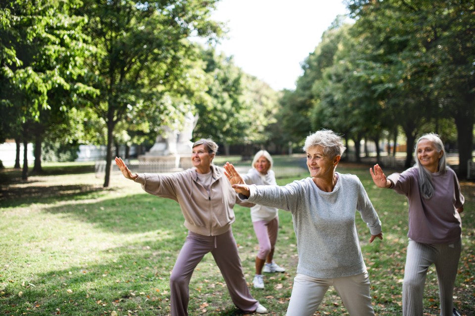 Senior women practicing Tai Chi in a park.