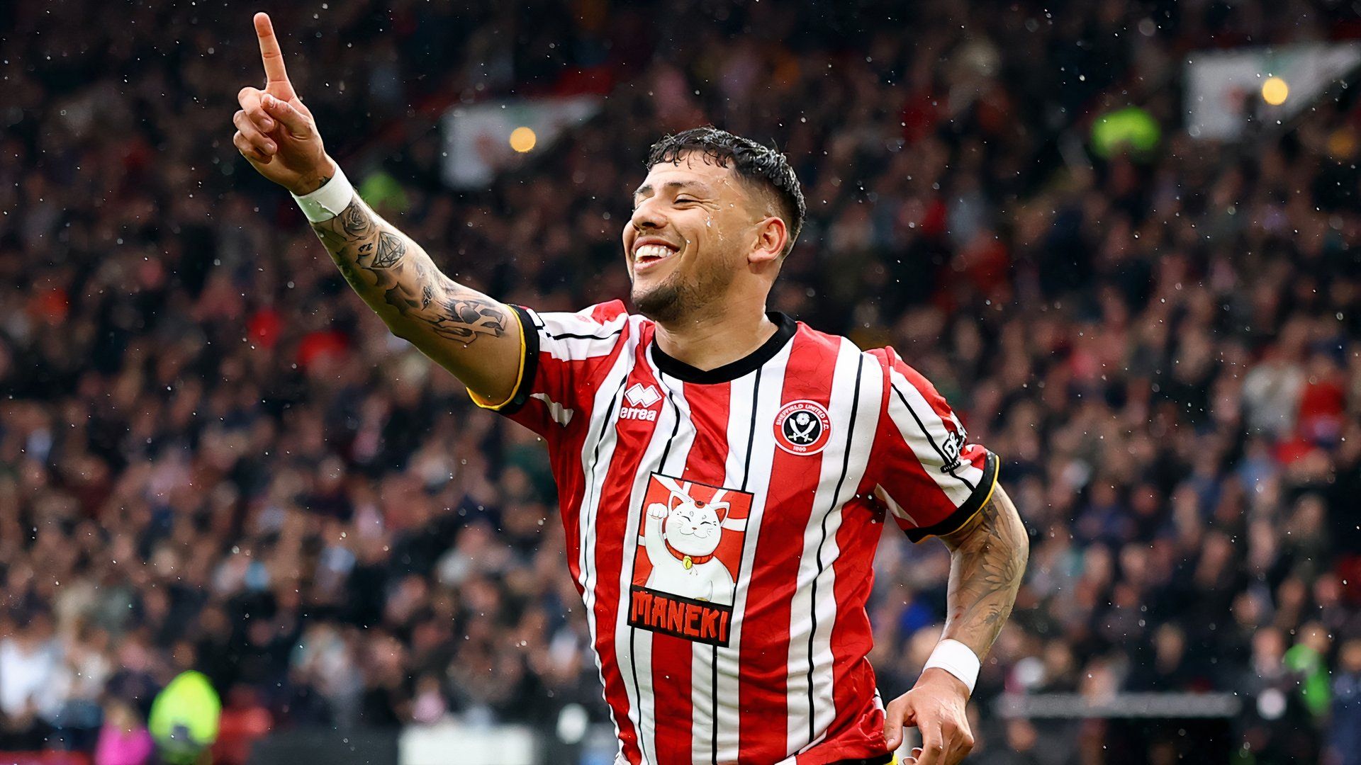 Gustavo Hamer scores for Sheffield United vs Cardiff City
