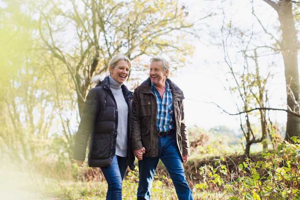 Happy mature couple holding hands and walking in a park.