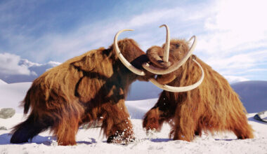 How much do you know about these extinct animals? · TheJournal.ie