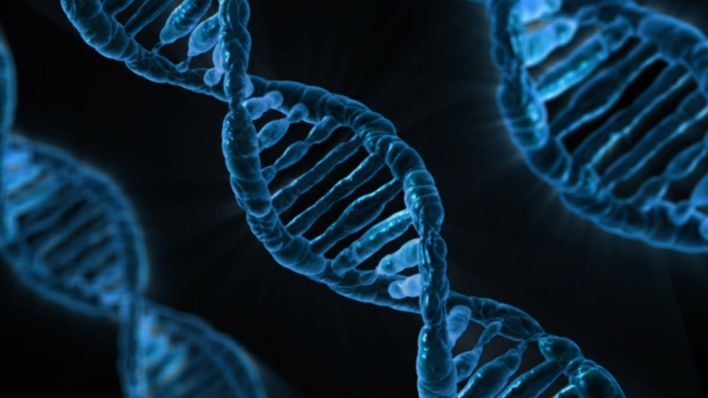 hero dna 163466 1920