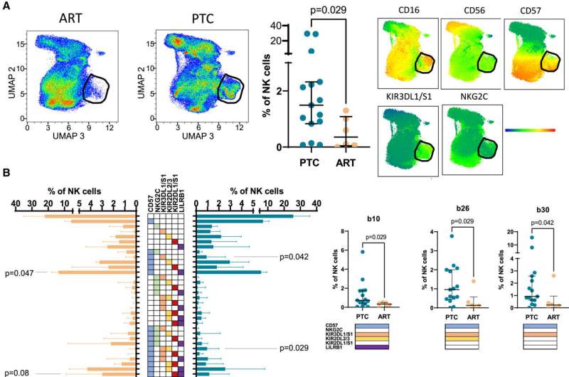 HIV: Genetic characteristics associated with sustained HIV remission after stopping treatment