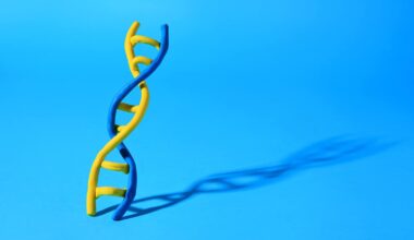 DNA repair insights could pave way for new cancer therapies