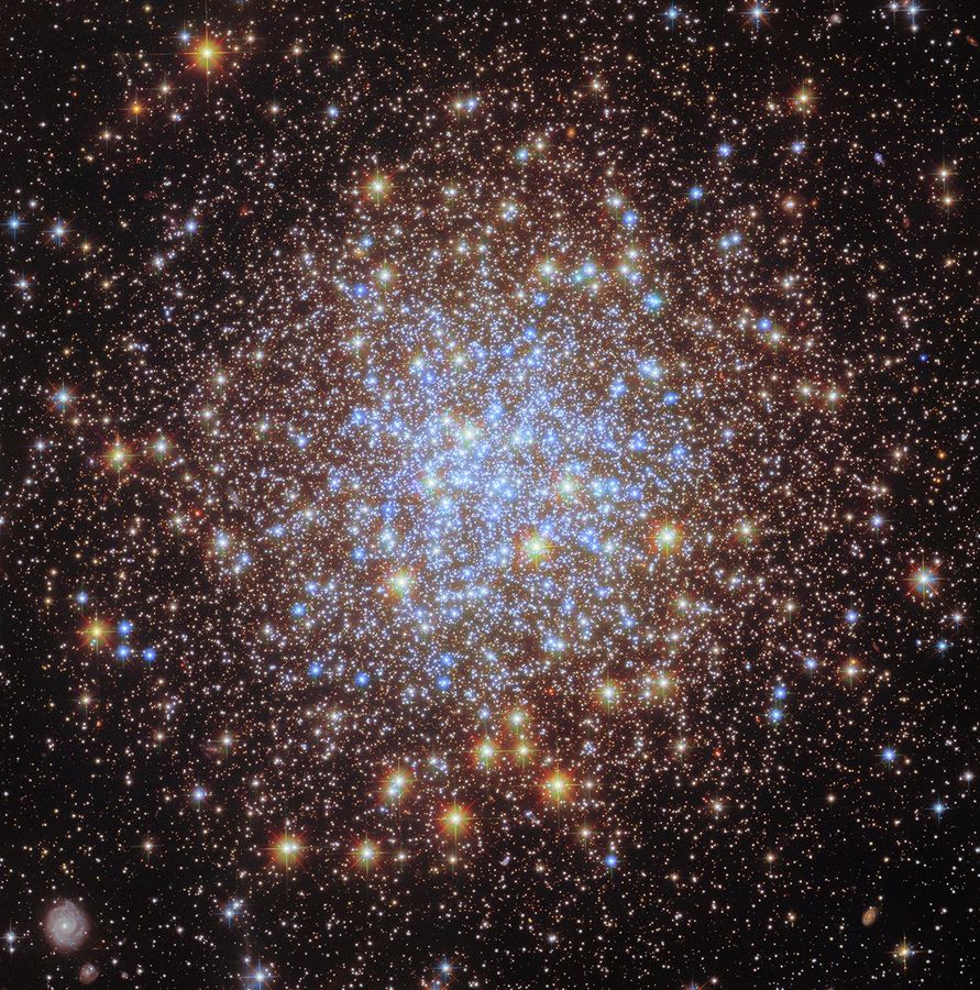 Thousands of bright stars fill a spherically shaped globular cluster. In the center, most of the stars appear blue. The globular cluster’s bright blue-white core is surrounded by a thick shell of yellower stars, seen in differing sizes according to their position in the spherical star cluster. They spread out beyond the edges of the image, appearing smaller and sparser at the corners of the image. A distant spiral galaxy is also visible in the lower-left corner of the image.