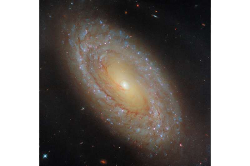 Hubble studies a nearby galaxy's star formation