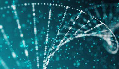 New study shows how our genes could help explain drug resistance in epilepsy