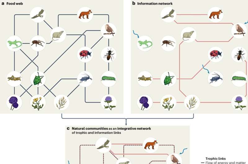 'Internet of nature' helps researchers explore the web of life
