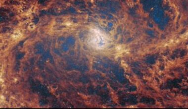 Signs Of A Supermassive Black Hole Hiding In Nearby Spiral Galaxy