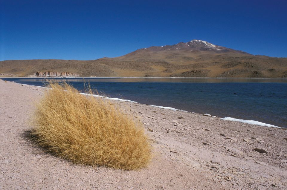 Laguna Celeste and Uturuncu Volcano in Bolivia.