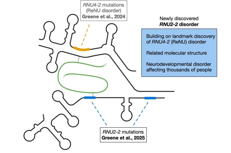 Landmark study identifies new genetic cause of neurodevelopmental disorders, bringing long-awaited answers to families