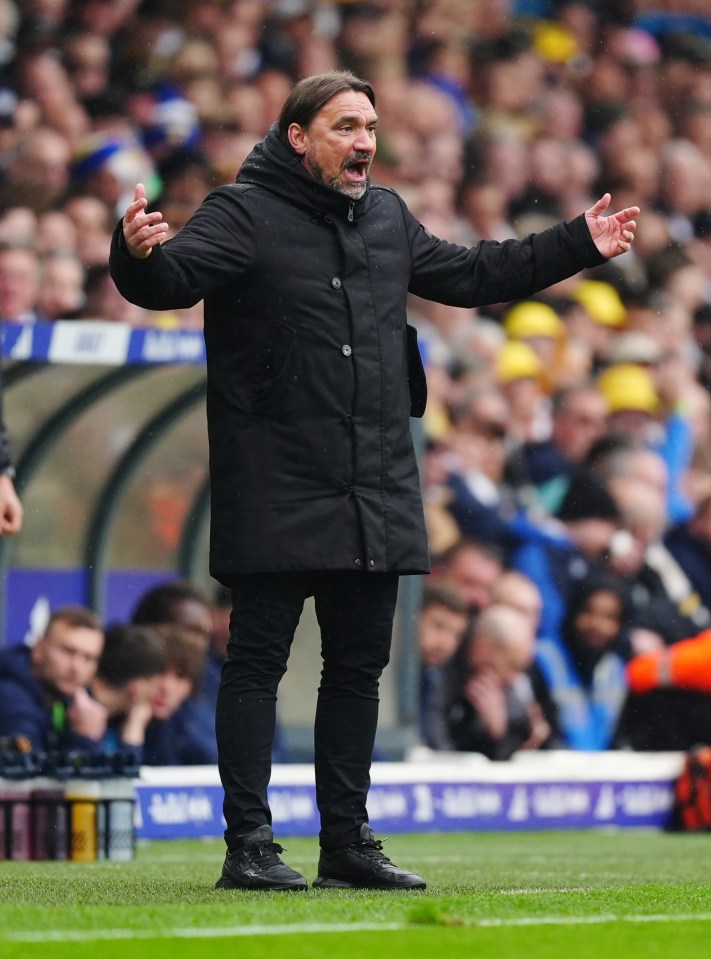 Leeds United manager Daniel Farke on the touchline.