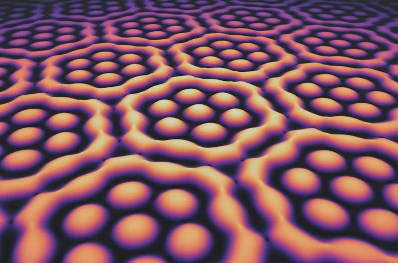 Light fields with extraordinary structure: Plasmonic skyrmion bags