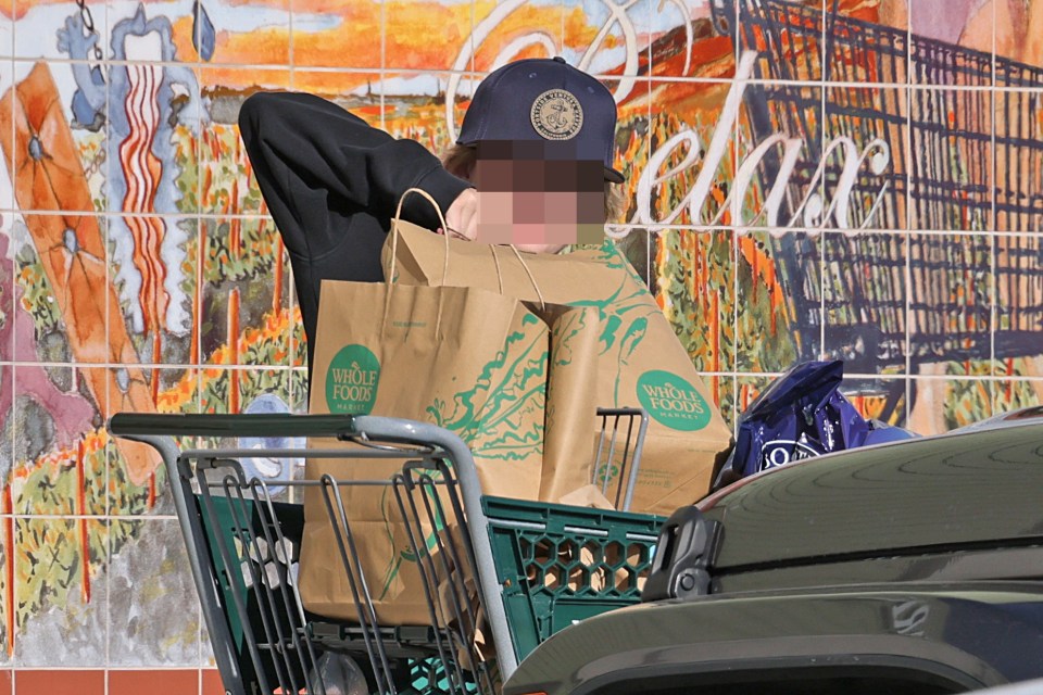 Person with face obscured pushing a shopping cart filled with Whole Foods Market bags.