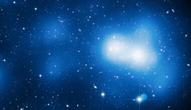 A large galaxy cluster.