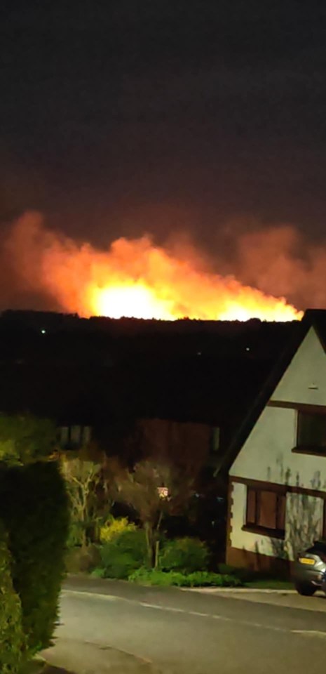 Large wildfire at night, viewed from a residential area.