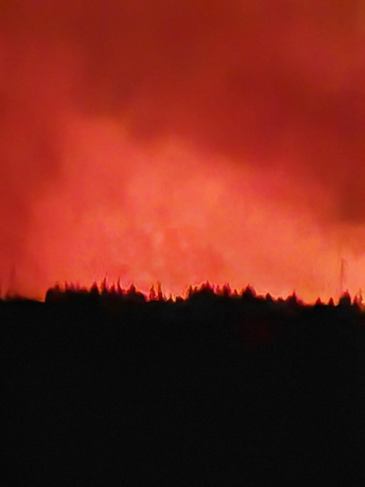 Wildfire in Cumbernauld, Lanarkshire.
