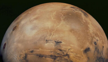 Exact type of lifeform that could live on brutal Mars surface revealed – even surviving deadly radiation bombardment