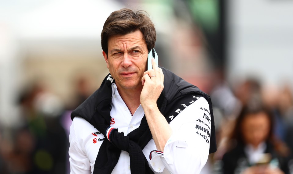 Toto Wolff, Mercedes GP Executive Director, on a phone call.