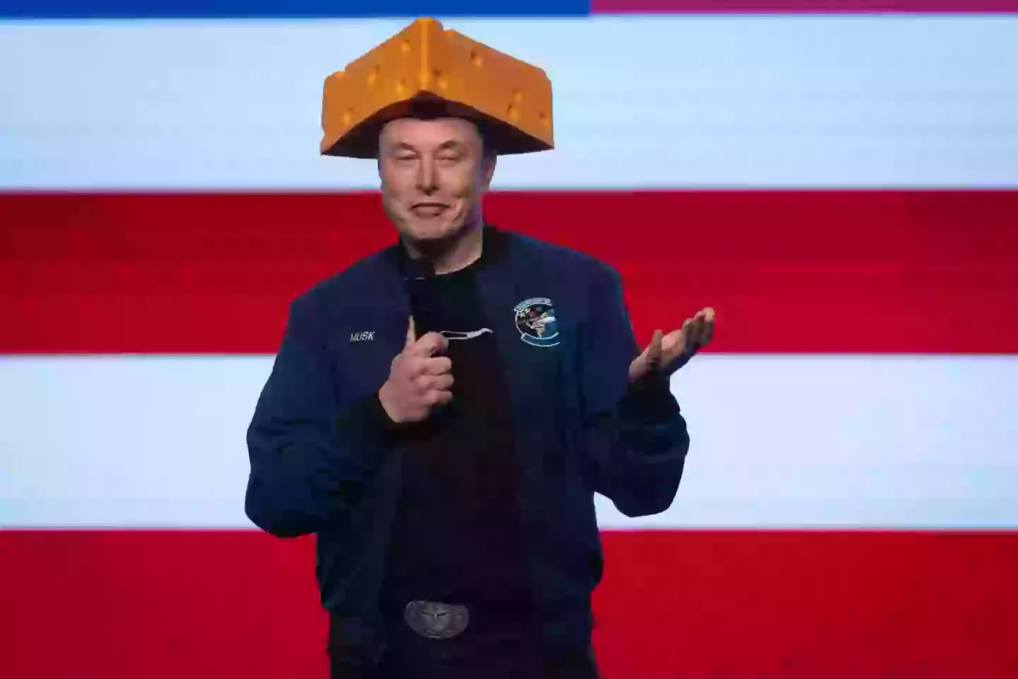 Musk is set to leave his DOGE position by the end of May (Scott Olson/Getty Images)