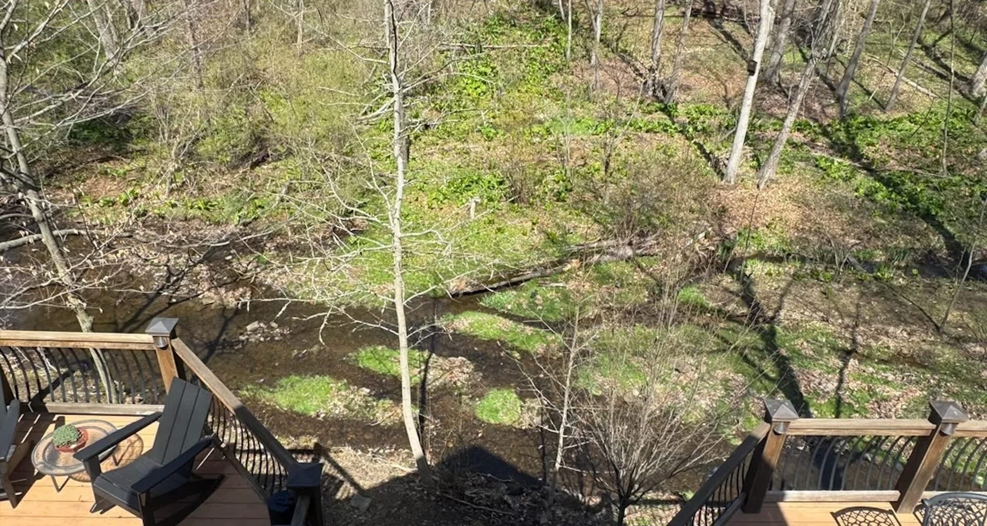Unfortunately, ridding a property of various invasive species can be a challenge.
