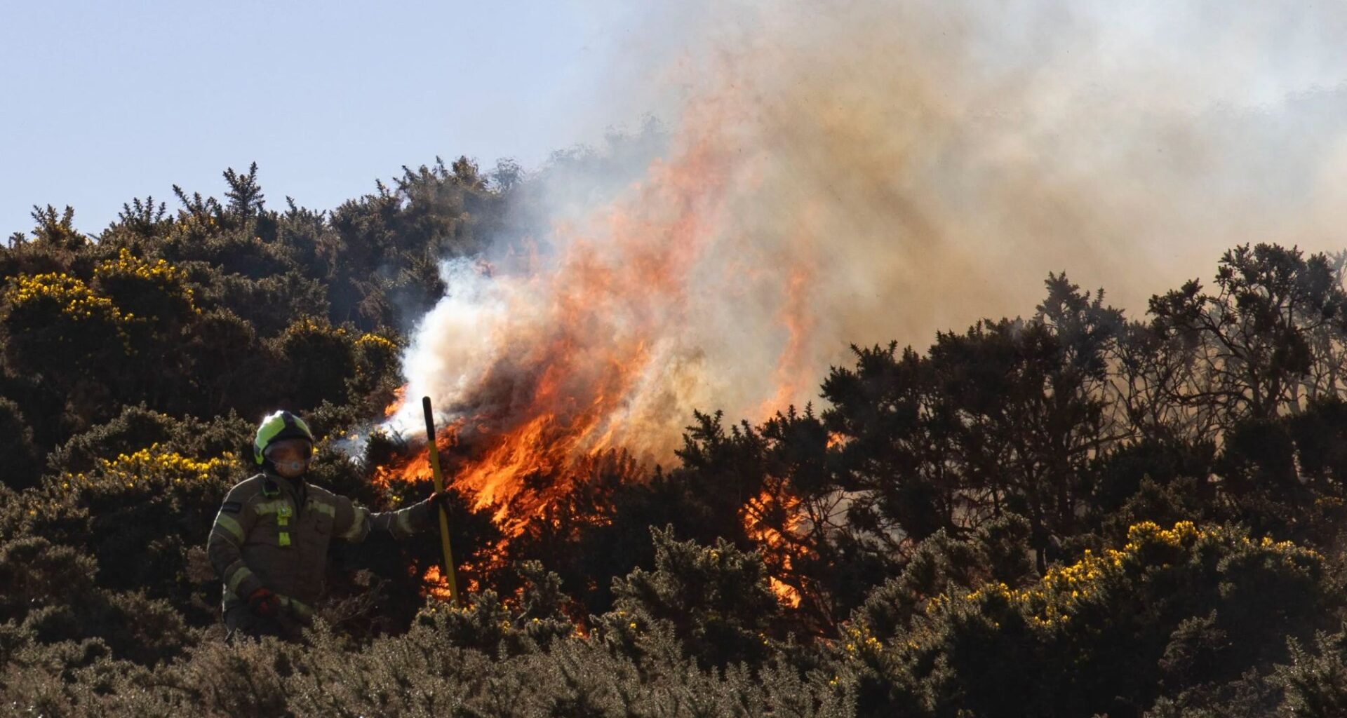 Firefighters issue urgent warning as more wildfires break out across Scotland