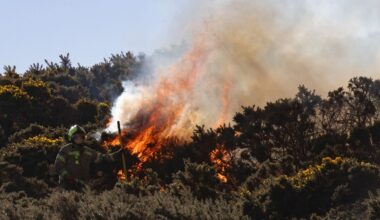 Firefighters issue urgent warning as more wildfires break out across Scotland