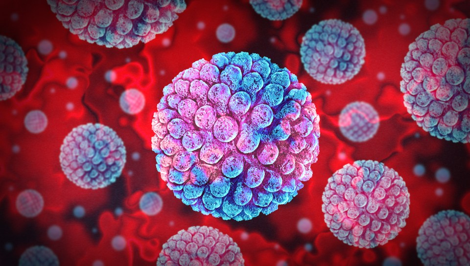 Illustration of norovirus.
