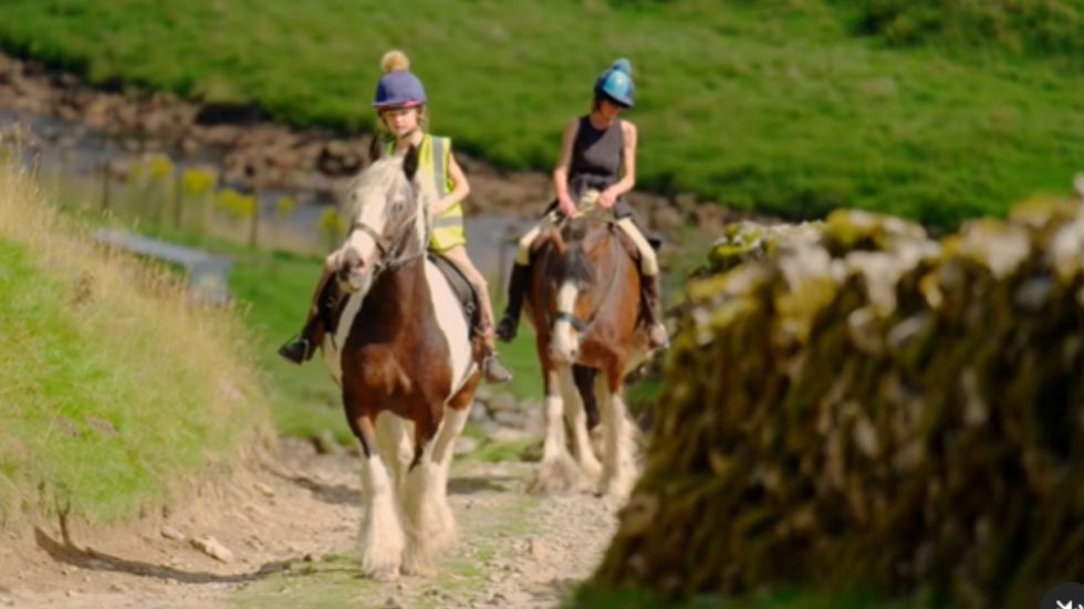 Our Farm Next Door series two