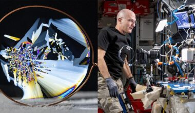 NASA Astronaut Don Pettit Uses His Camera for Science in Space