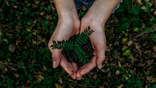 What are some of the best Earth Day 2025 events happening in the US? 