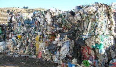 plastic waste