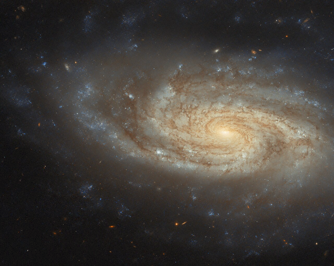 An island universe