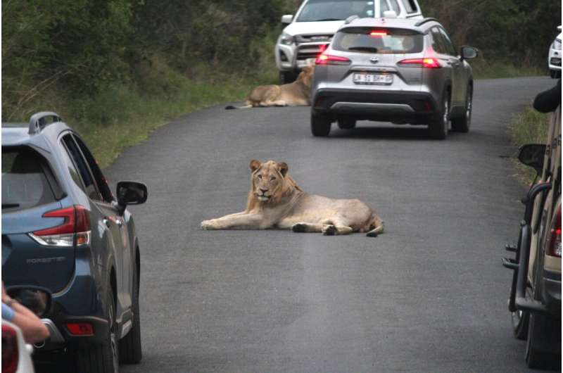 Predicting animal movements under global change