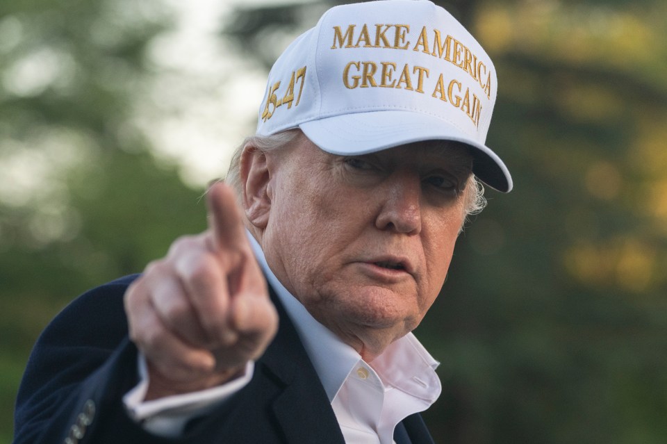 Donald Trump pointing, wearing a "Make America Great Again" hat.