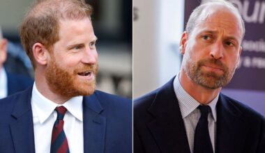 Prince Harry 'knows how to push his brothers buttons' as he makes 'deliberate dig' at William