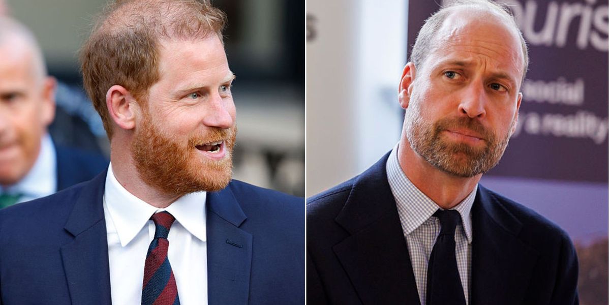 Prince Harry 'knows how to push his brothers buttons' as he makes 'deliberate dig' at William