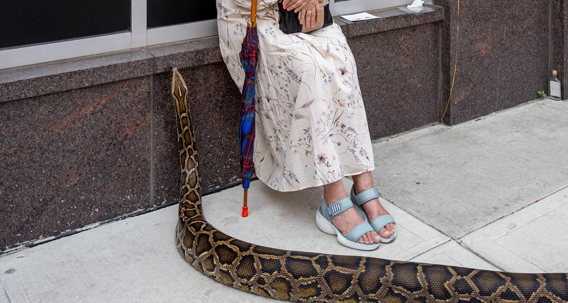 a giant snake slithers up beside a woman