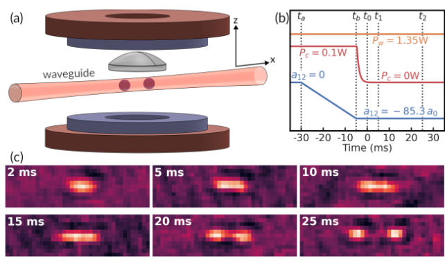 schematic from the paper