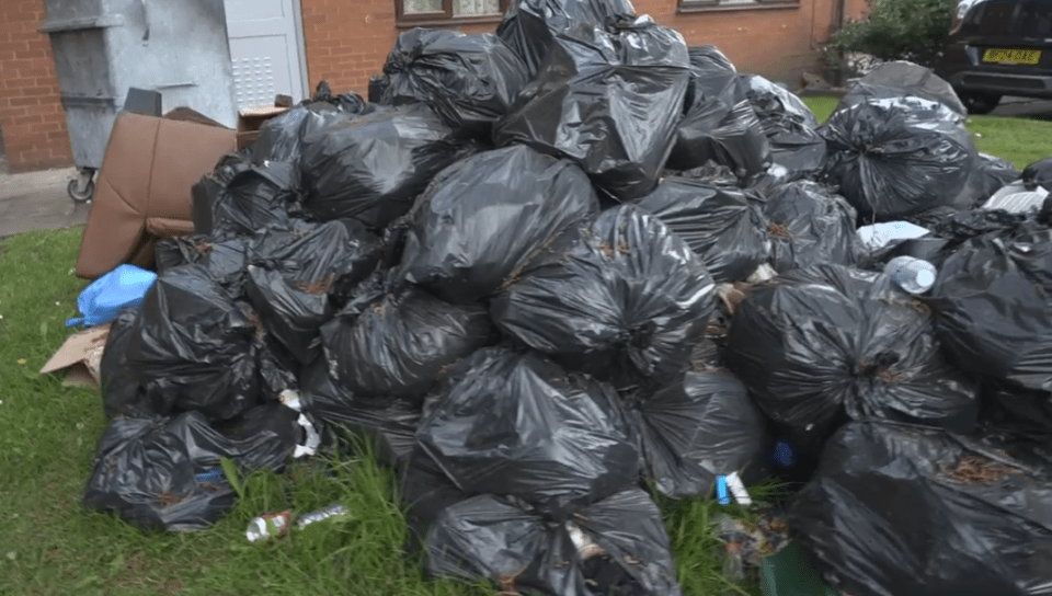 Large pile of black garbage bags on the grass.