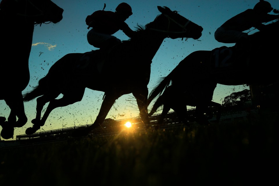 A jockey has been arrested following a car crash